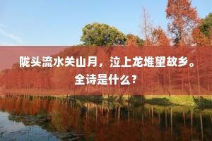 陇头流水关山月,泣上龙堆望故乡。全诗是什么? 陇头流水关山月,泣上龙堆望故乡。全诗是什么?