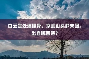 白云是处堪埋骨，京岘山头梦未回。出自哪首诗？