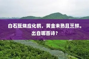 白石既烧应化鹤，黄金未熟且烹鲜。出自哪首诗？