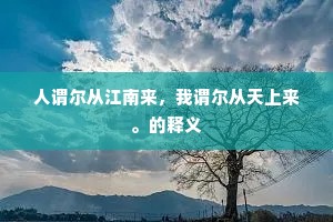 人谓尔从江南来，我谓尔从天上来。的释义