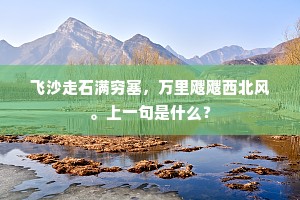 飞沙走石满穷塞，万里飕飕西北风。上一句是什么？