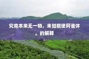 究竟本来无一物，未知能使阿谁休。的解释