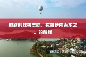道路荆棘初剪除，花如步障吾东之。的解释