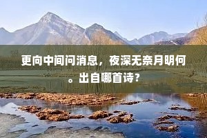 更向中间问消息，夜深无奈月明何。出自哪首诗？