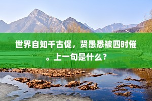 世界自知千古促，贤愚悉被四时催。上一句是什么？