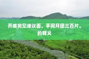 开缄宛见谏议面，手阅月团三百片。的释义