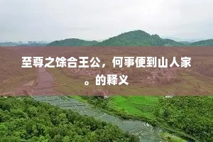 至尊之馀合王公，何事便到山人家。的释义