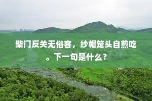 柴门反关无俗客，纱帽笼头自煎吃。下一句是什么？