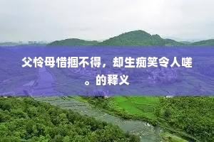 父怜母惜掴不得，却生痴笑令人嗟。的释义