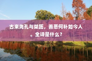 古来尧孔与桀跖，善恶何补如今人。全诗是什么？