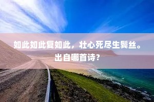 如此如此复如此，壮心死尽生鬓丝。出自哪首诗？