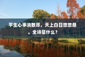 平生心事消散尽，天上白日悠悠悬。全诗是什么？