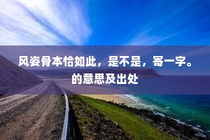 风姿骨本恰如此，是不是，寄一字。的意思及出处