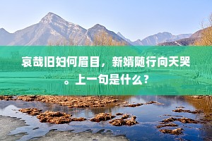 哀哉旧妇何眉目，新婿随行向天哭。上一句是什么？