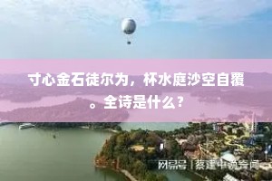 寸心金石徒尔为，杯水庭沙空自覆。全诗是什么？