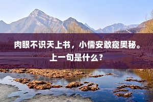 肉眼不识天上书，小儒安敢窥奥秘。上一句是什么？