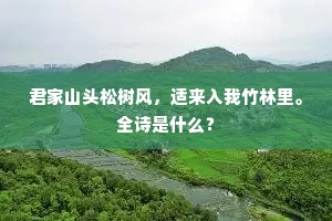君家山头松树风，适来入我竹林里。全诗是什么？