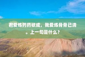 君爱炼药药欲成，我爱炼骨骨已清。上一句是什么？