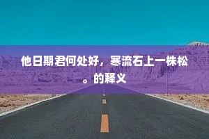 他日期君何处好，寒流石上一株松。的释义