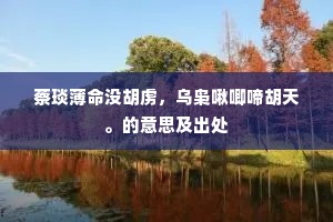 蔡琰薄命没胡虏，乌枭啾唧啼胡天。的意思及出处