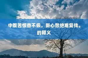 中腹苦恨杳不极，新心愁绝难复传。的释义