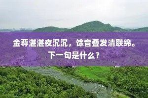 金尊湛湛夜沉沉，馀音叠发清联绵。下一句是什么？