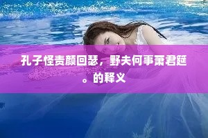 孔子怪责颜回瑟，野夫何事萧君筵。的释义