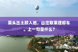 菜头出土胶入地，山庄取粟埋却车。上一句是什么？