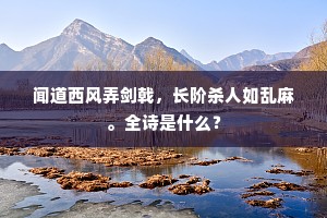 闻道西风弄剑戟，长阶杀人如乱麻。全诗是什么？