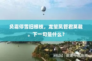负霜停雪旧根枝，龙笙凤管君莫截。下一句是什么？