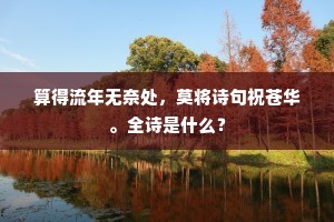 算得流年无奈处，莫将诗句祝苍华。全诗是什么？