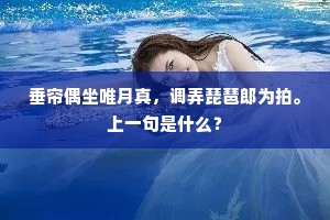 垂帘偶坐唯月真，调弄琵琶郎为拍。上一句是什么？
