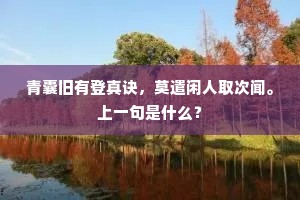 青囊旧有登真诀，莫遣闲人取次闻。上一句是什么？