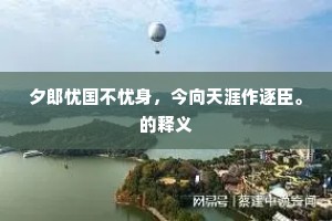 夕郎忧国不忧身，今向天涯作逐臣。的释义