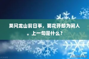 莫问龙山前日事，菊花开却为闲人。上一句是什么？