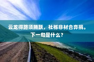 云龙得路须腾跃，社栎非材合弃捐。下一句是什么？