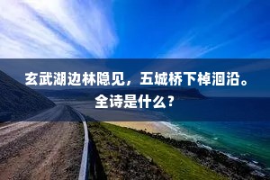 玄武湖边林隐见，五城桥下棹洄沿。全诗是什么？