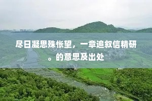 尽日凝思殊怅望，一章追叙信精研。的意思及出处