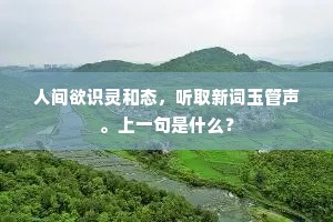 人间欲识灵和态，听取新词玉管声。上一句是什么？