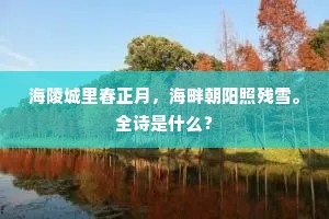 海陵城里春正月，海畔朝阳照残雪。全诗是什么？