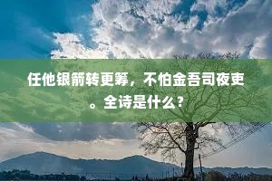 任他银箭转更筹，不怕金吾司夜吏。全诗是什么？