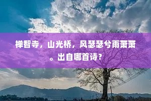 禅智寺，山光桥，风瑟瑟兮雨萧萧。出自哪首诗？