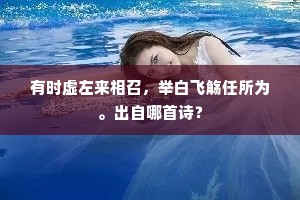 有时虚左来相召，举白飞觞任所为。出自哪首诗？