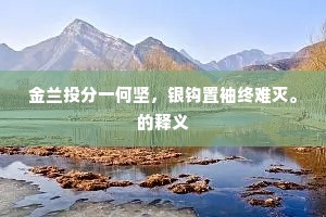 金兰投分一何坚，银钩置袖终难灭。的释义