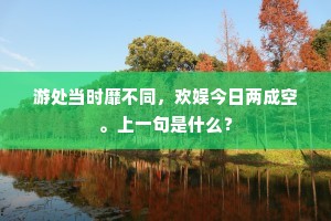 游处当时靡不同，欢娱今日两成空。上一句是什么？