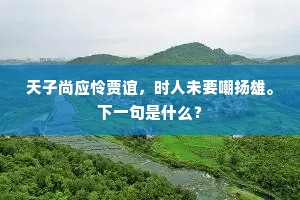 天子尚应怜贾谊，时人未要嘲扬雄。下一句是什么？