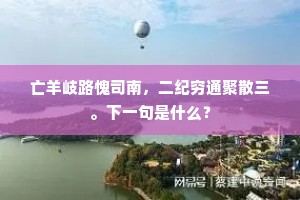 亡羊岐路愧司南，二纪穷通聚散三。下一句是什么？