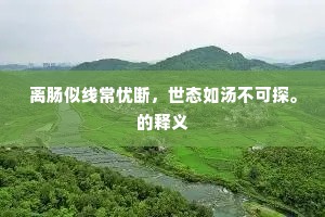 离肠似线常忧断，世态如汤不可探。的释义