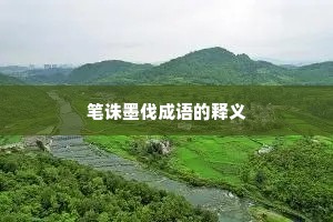 笔诛墨伐成语的释义