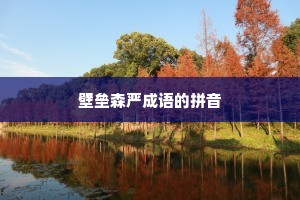 壁垒森严成语的拼音